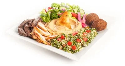 Beef/ Gyro/ Kafta/ Chicken/ Veggie